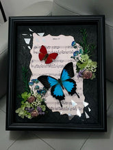 Butterfly Specimen Frame - sheet music style